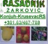 fruit nurseries Serbia
